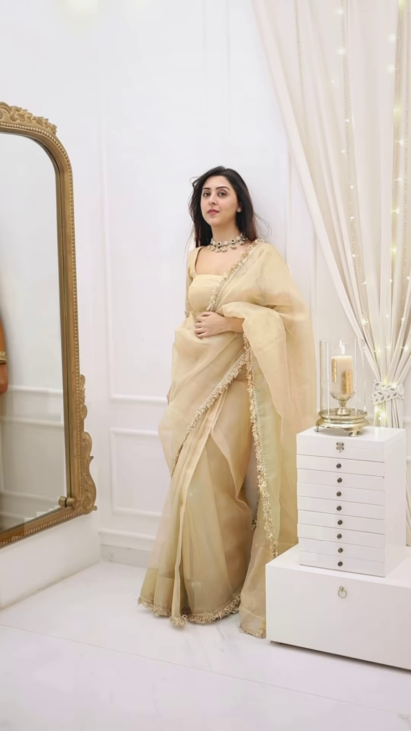 Classic Fawn Stone Embellished Saree – A Perfect Blend of Grace and Glamour - Image 4