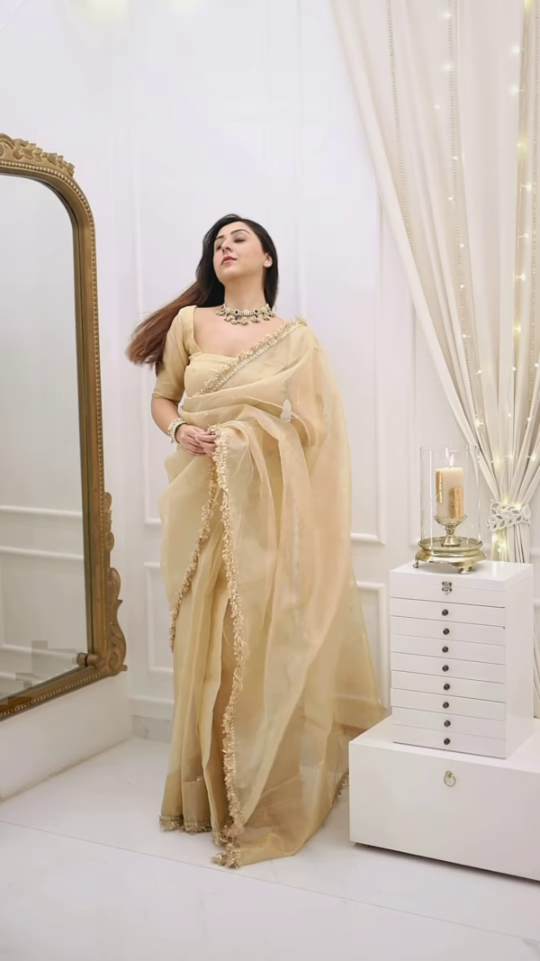 Classic Fawn Stone Embellished Saree – A Perfect Blend of Grace and Glamour - Image 3