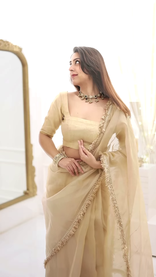Classic Fawn Stone Embellished Saree – A Perfect Blend of Grace and Glamour - Image 2