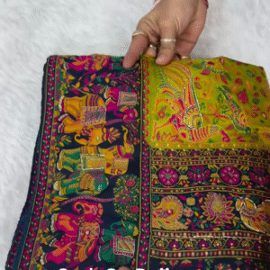Rangin Pashmina Silk Saree